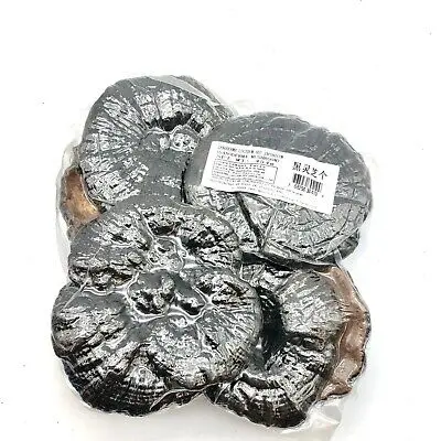 Dried Lingzhi Mushroom (灵芝, 100g)